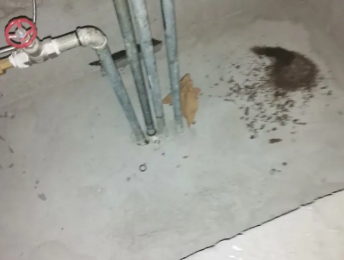 马村卫生间测漏水价格明细