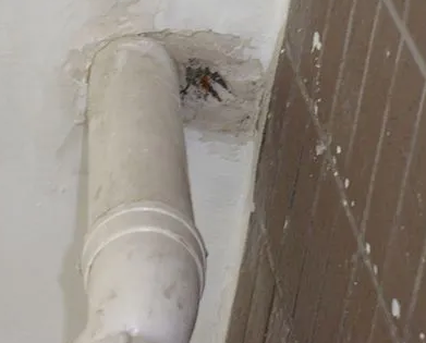 马村漏水检测哪家好